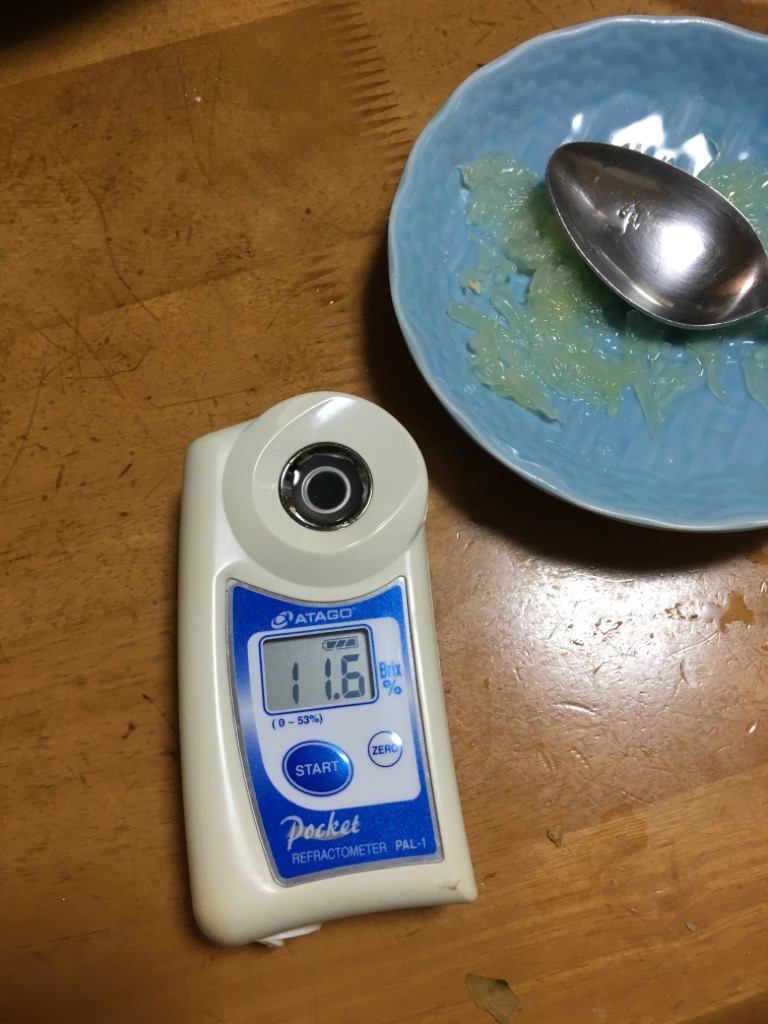 文旦の実験結果〜