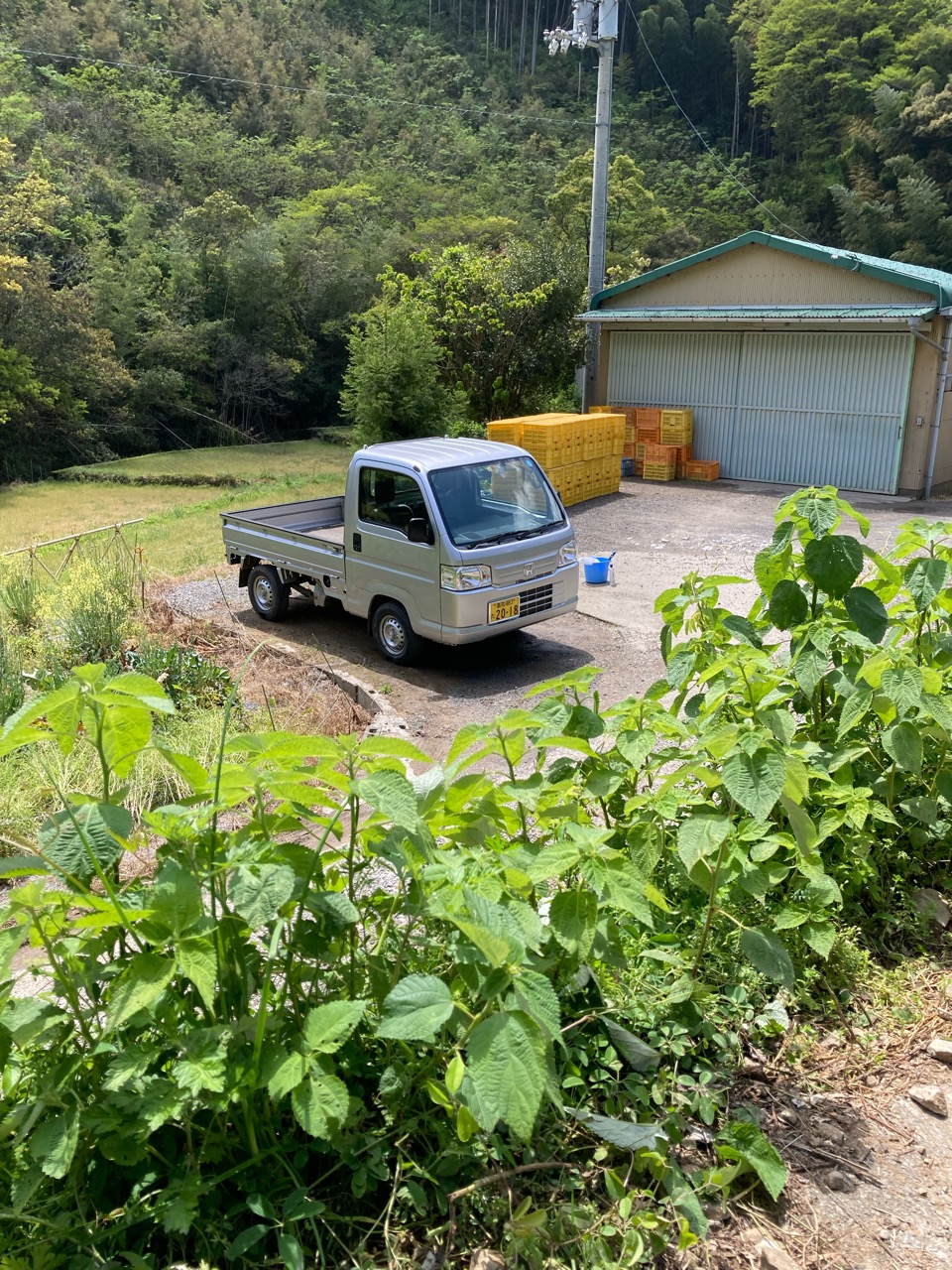 軽トラの洗車