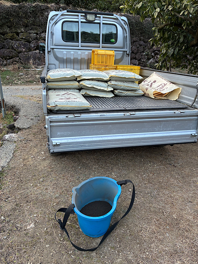 苦土石灰を撒く