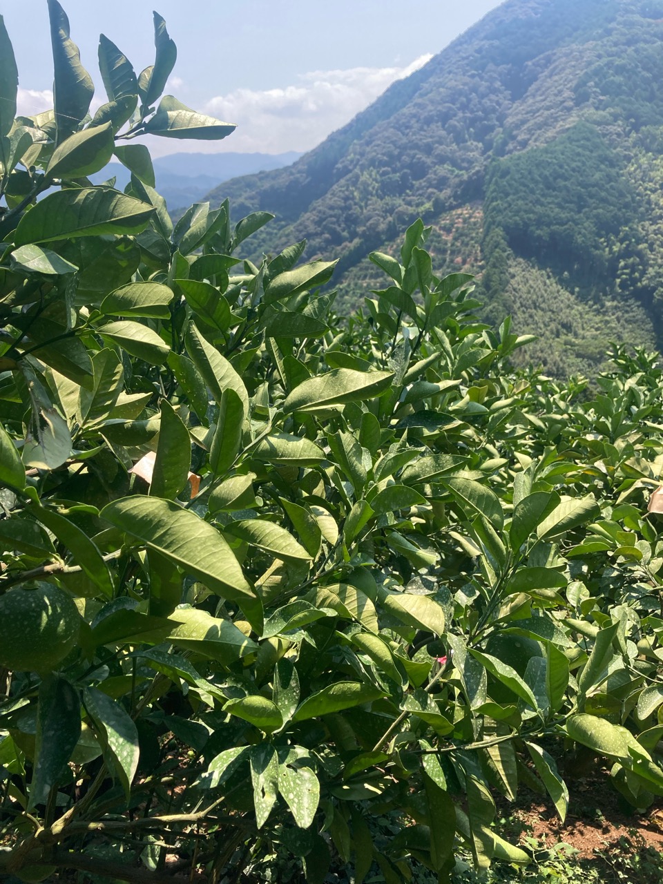 疲労の蓄積