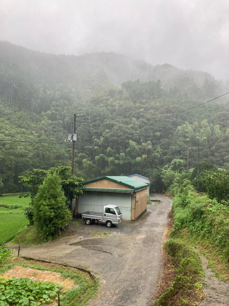 雨じゃなくて、大雨だー