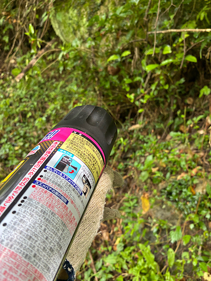 ハチにバズーカー