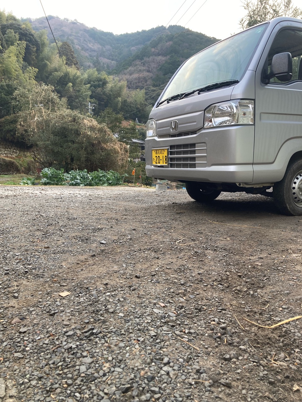次はJA出荷が始まる