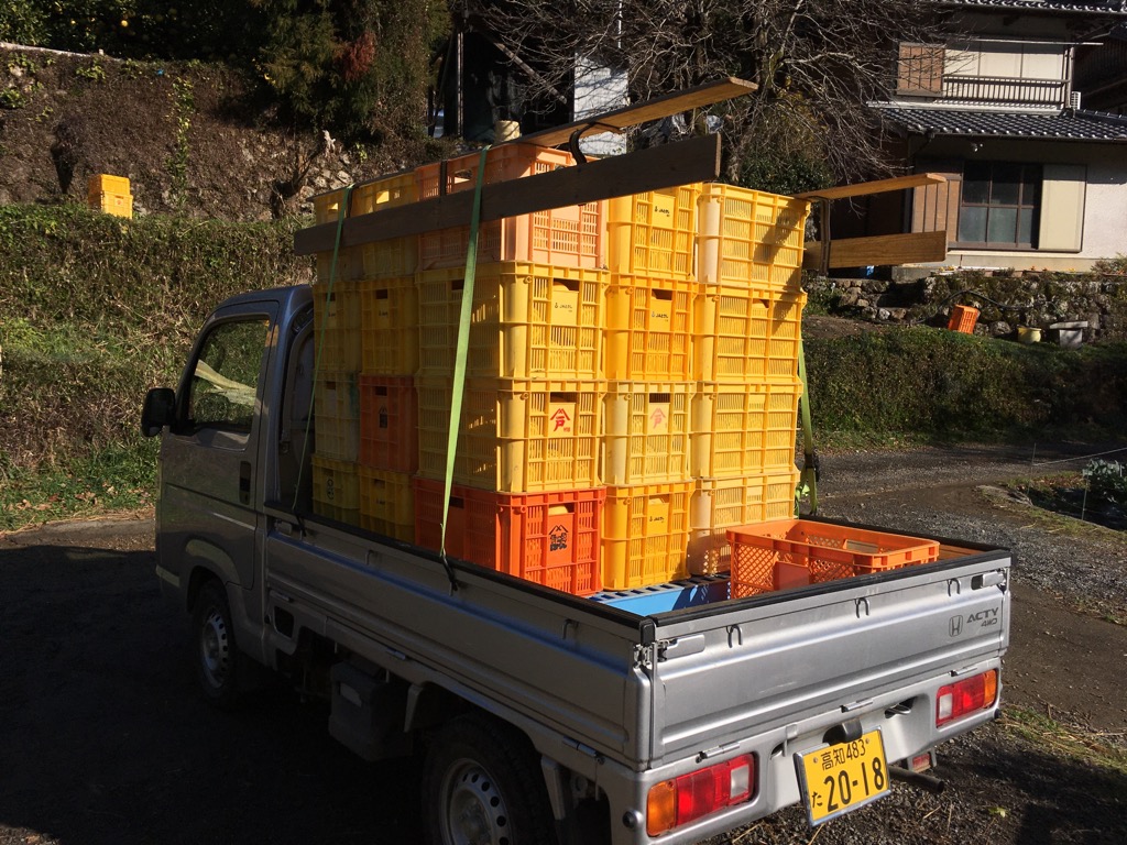 JA出荷始まる〜