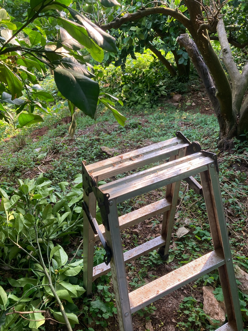 今日もお疲れ様