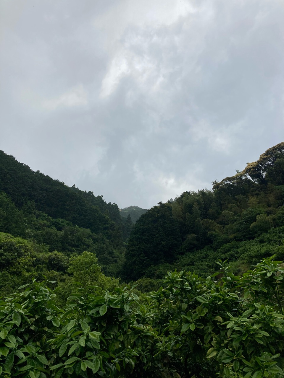 変な天気