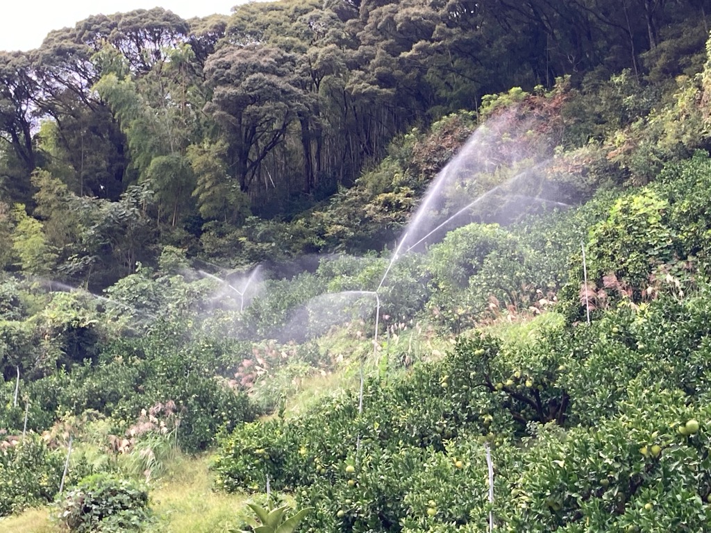より良くするための実験