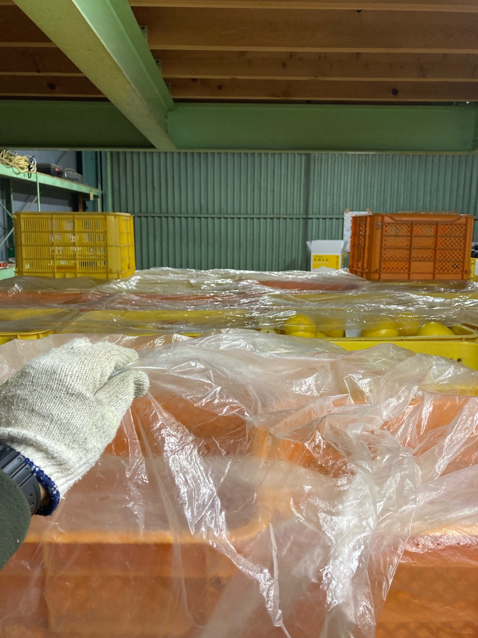 今日も1日おつかれさまです。