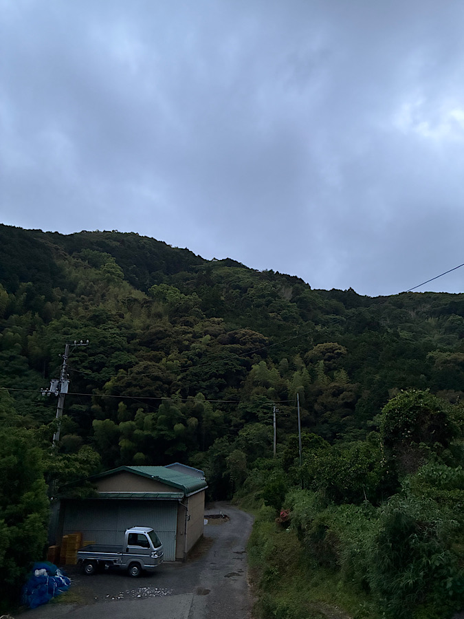 あいにくの雨