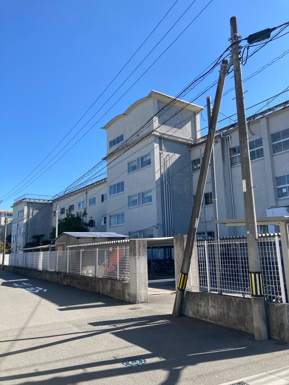 昨日は母校、今日は東京