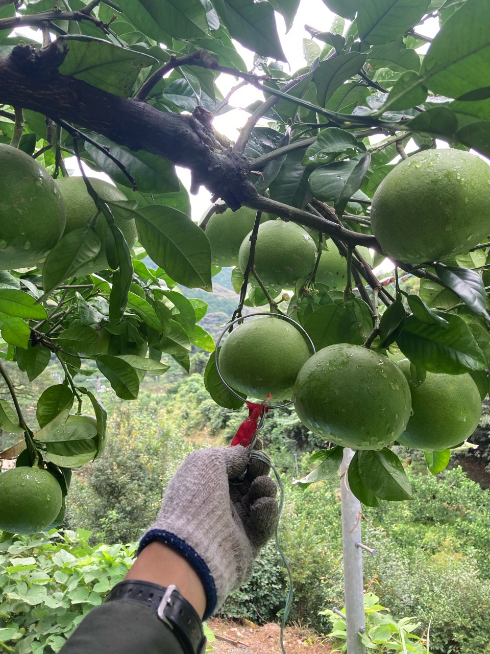 太りがよくないな〜
