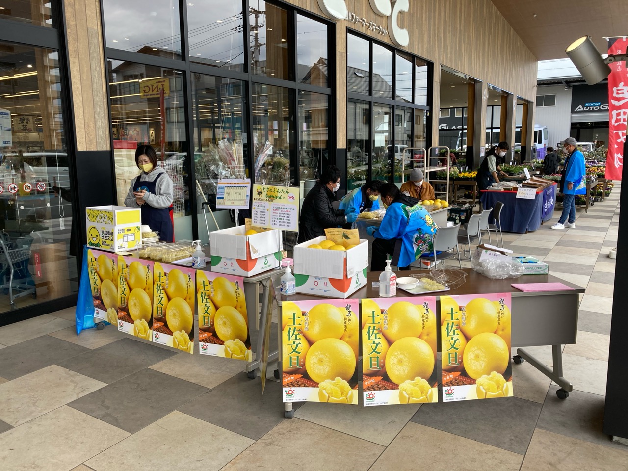 文旦の試食宣伝