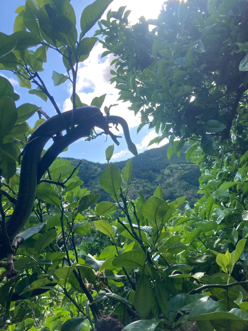 びっくりしたなぁー、もう。