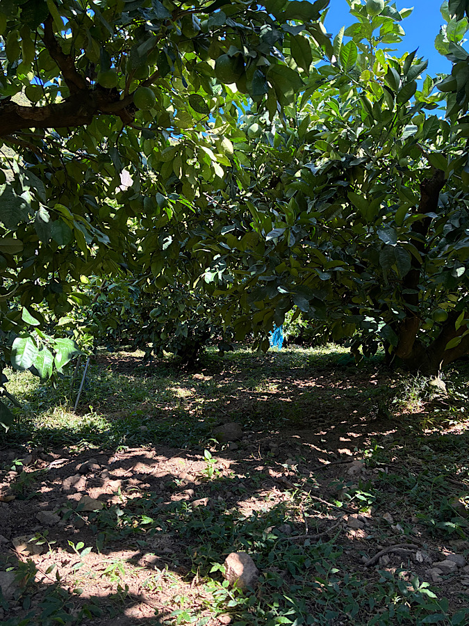 作業着びちょびちょー