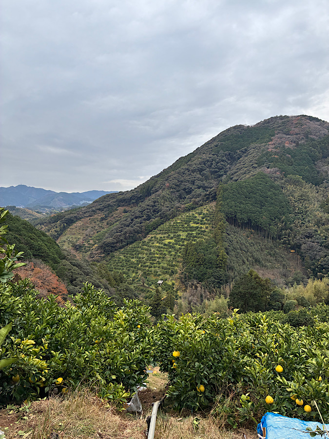 雨降らないやんけー