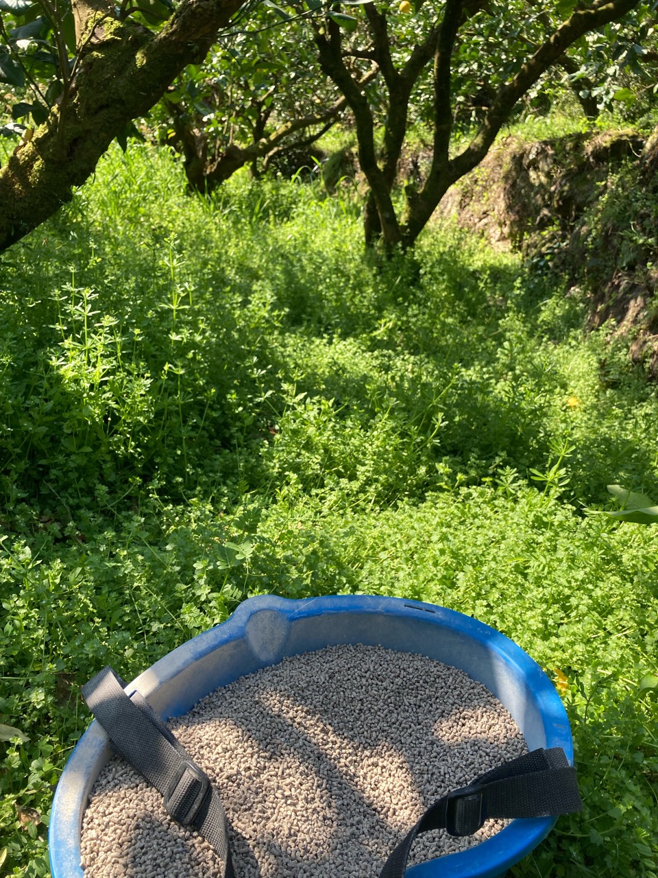 春肥、終わったよ