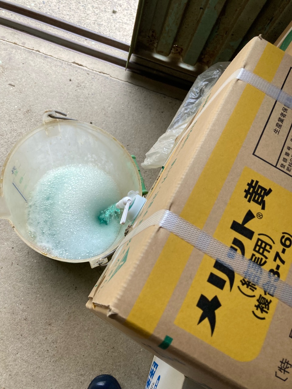 黄だけど、青色のものってなーんだ？