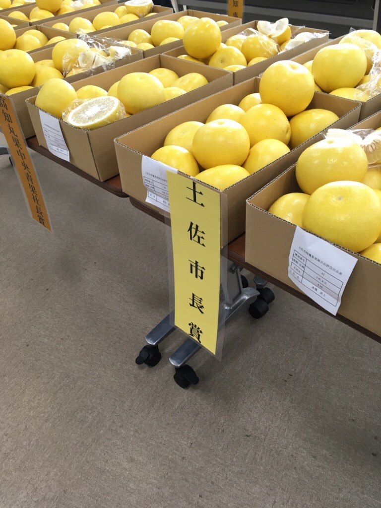 今年の品評会