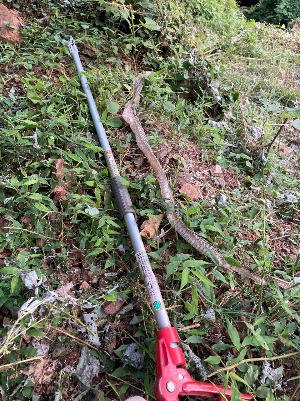 めっちゃ長いー