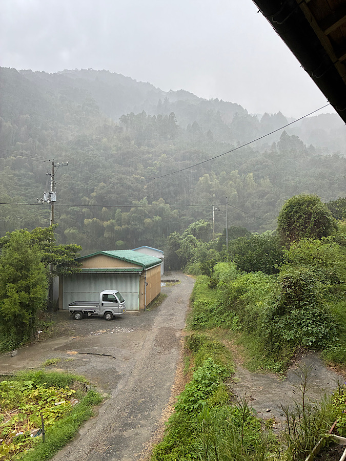 夕立が降ってくれたー