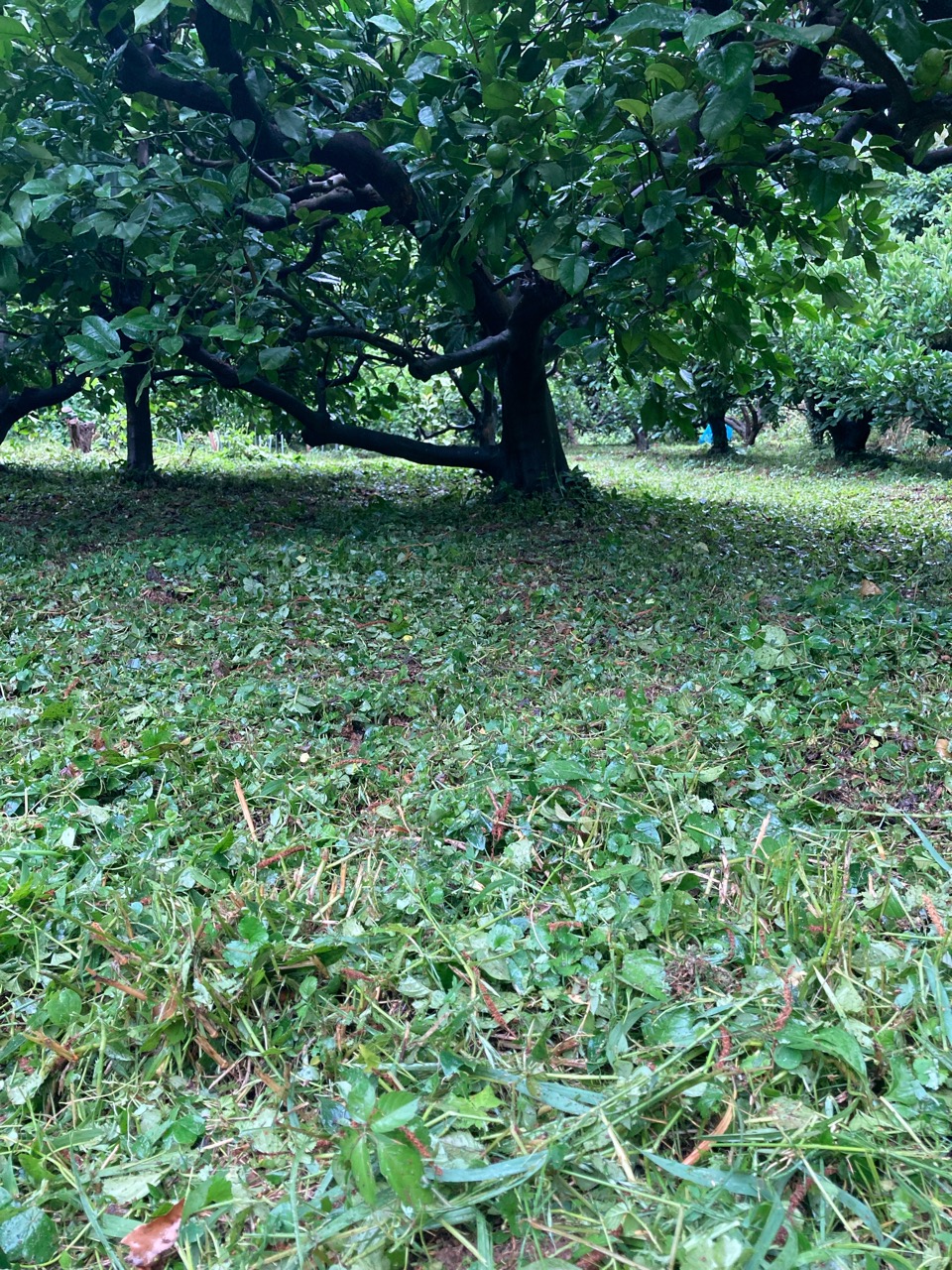 雨の日でも