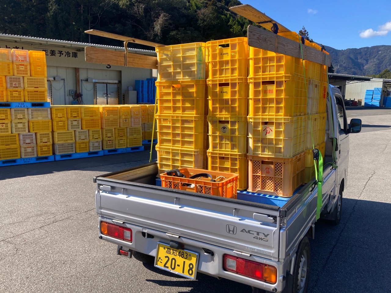 JAに出荷
