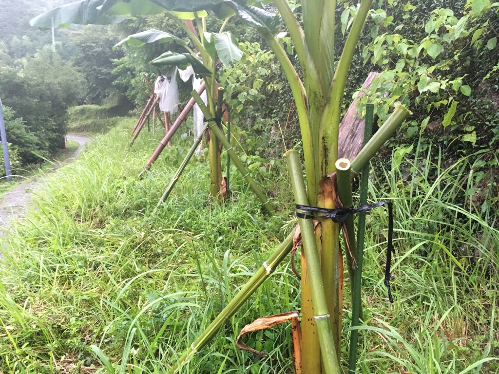 暴風対策