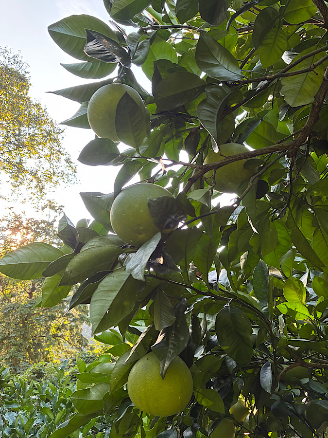 台風来ないでー