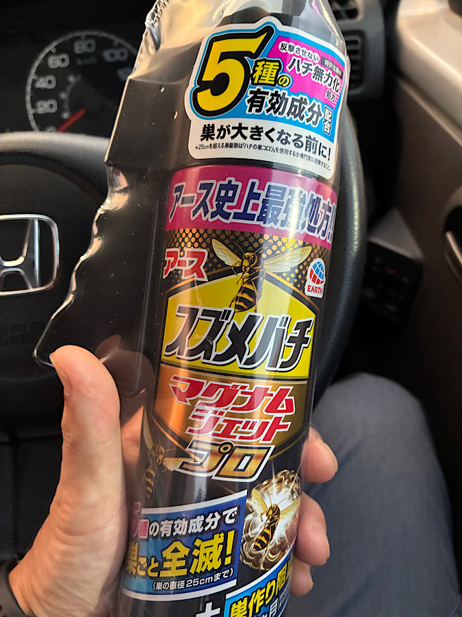 ハチの巣、発見