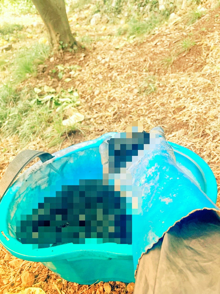 土壌改良の資材