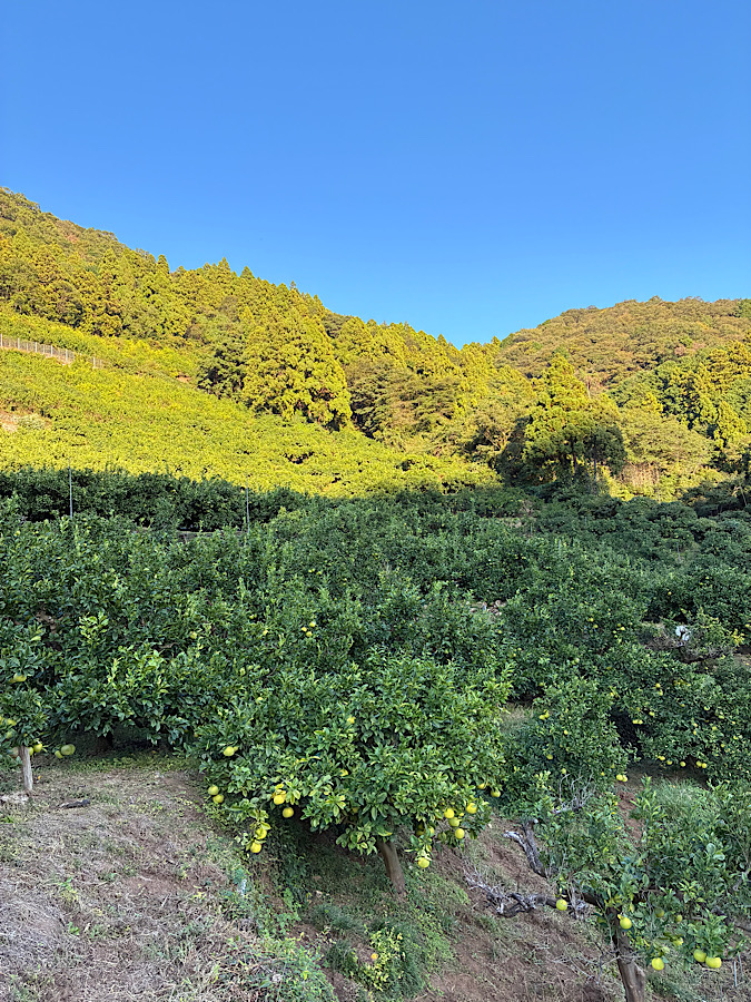 今日も1日おつかれさま