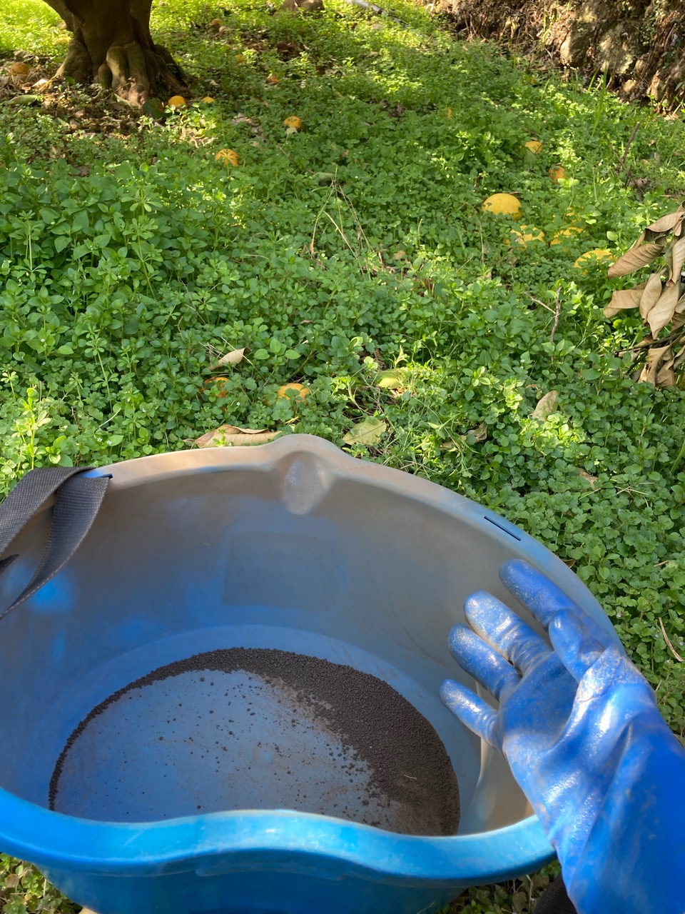 苦土石灰終わったよ〜