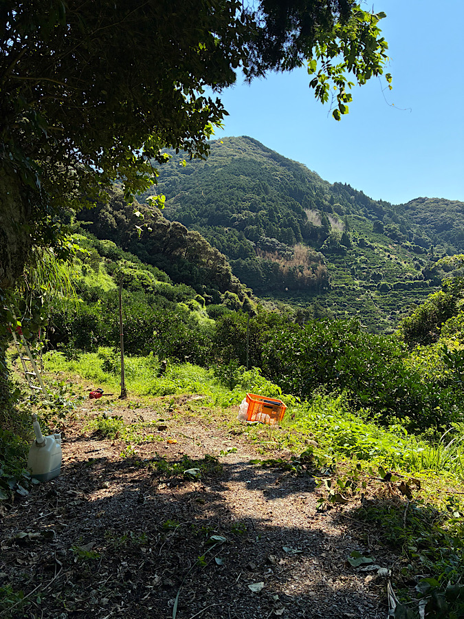 7月なのに、この暑さ!