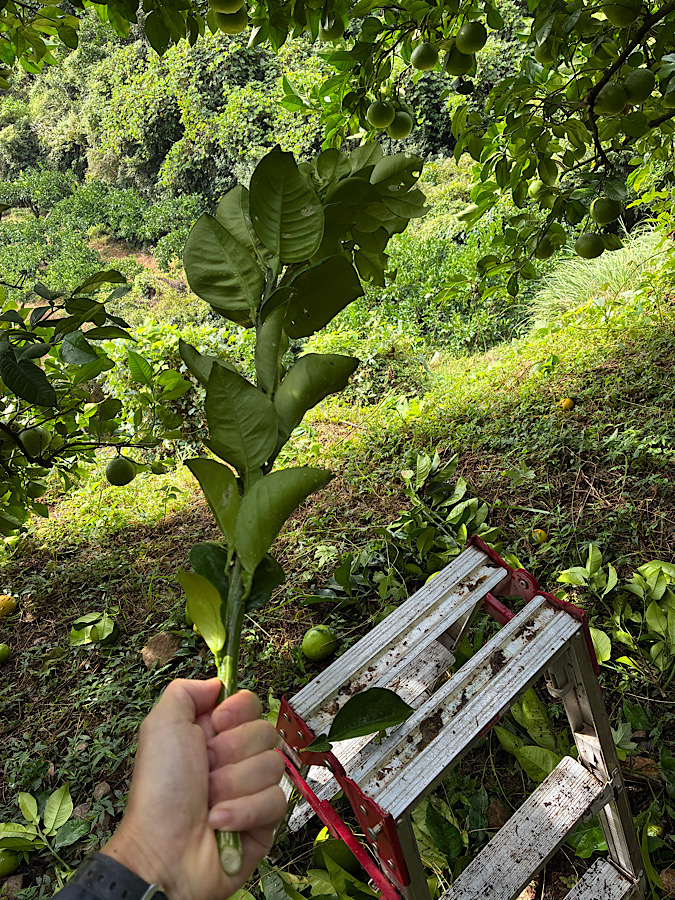 明日はやっとお休みー