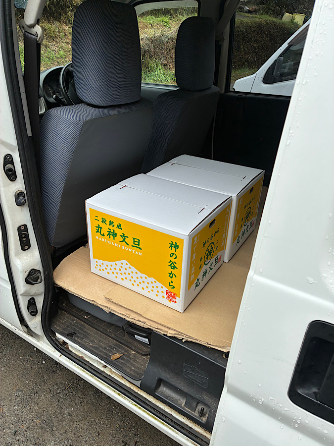 今週の日曜日も