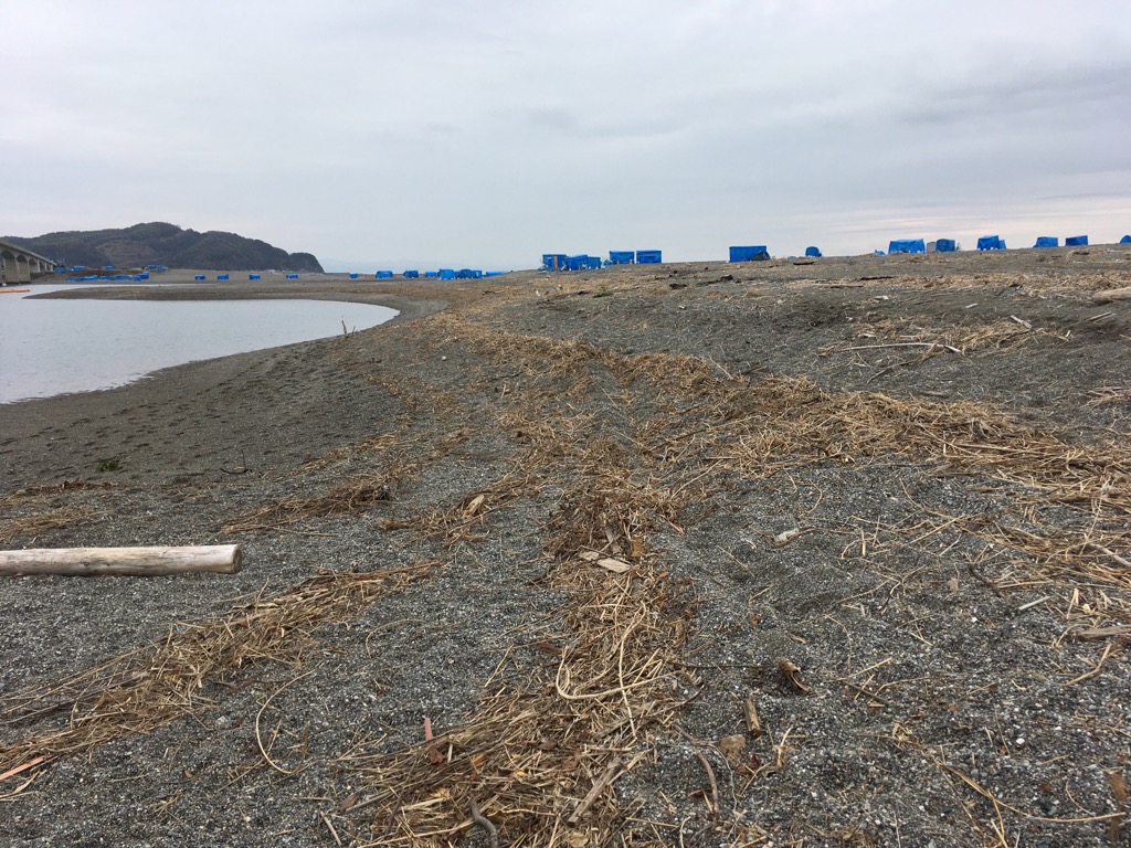 仁淀川の清掃活動