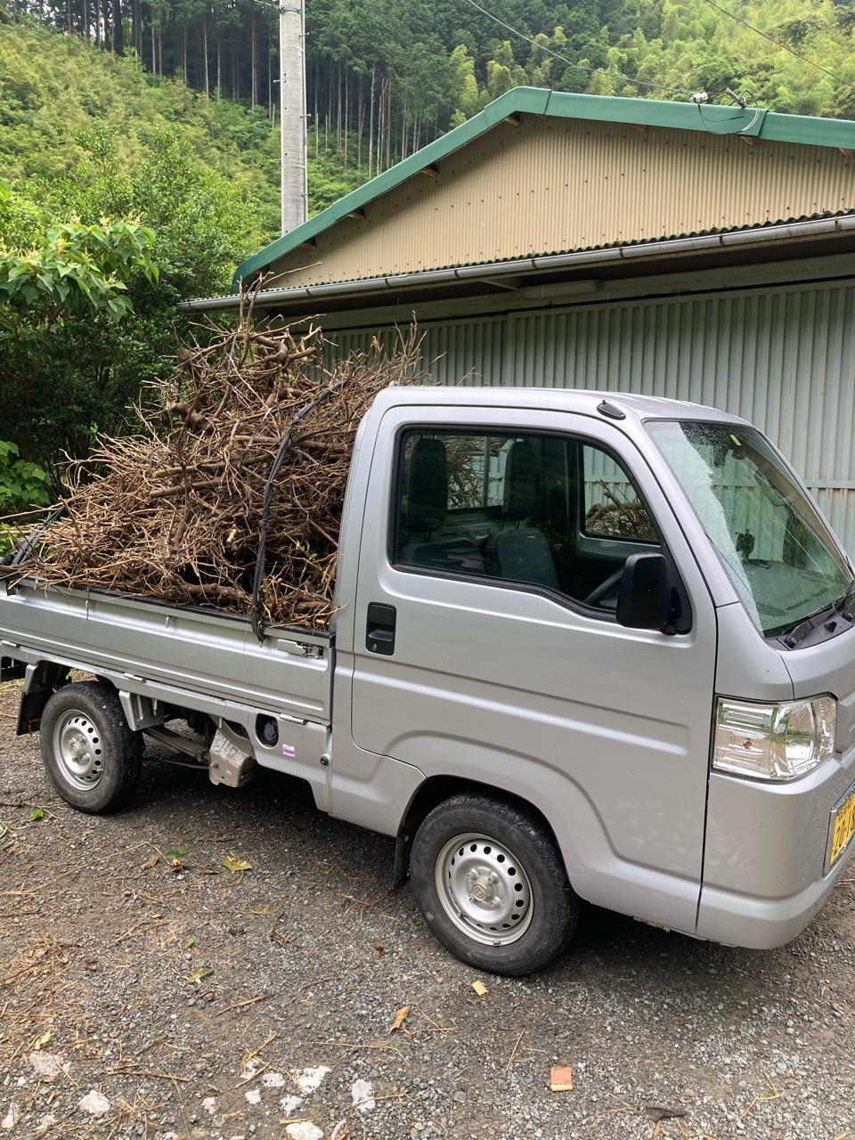 365歩のマーチ