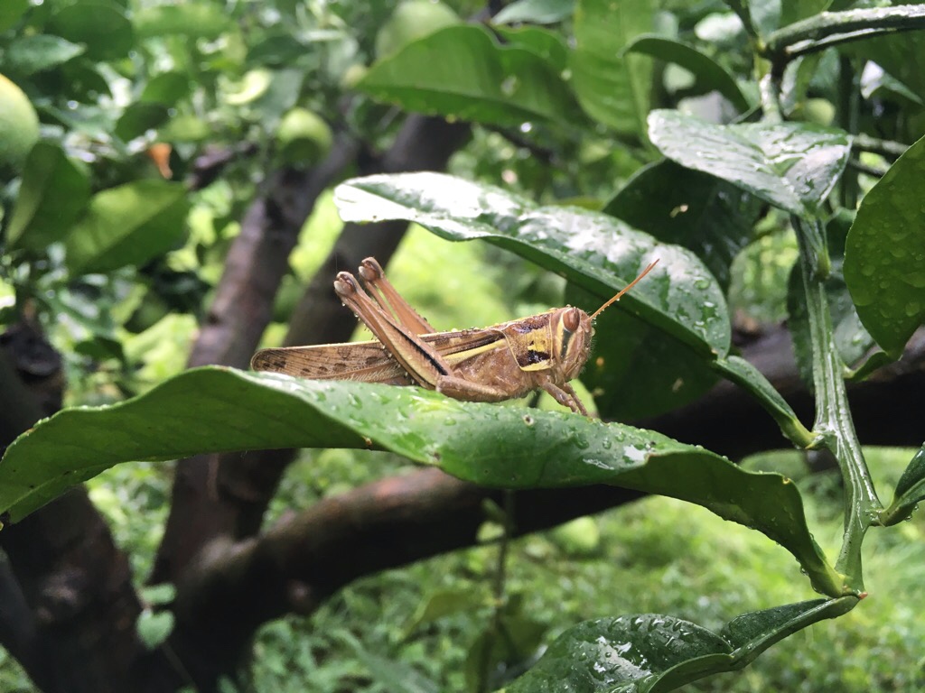 雨の日の仕事