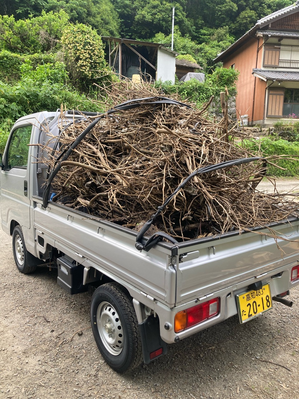 文旦農家の軽トラ、輝く帰還！