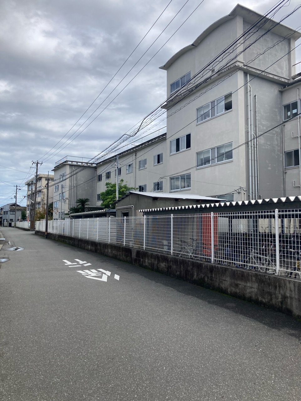 年に1度の母校訪問