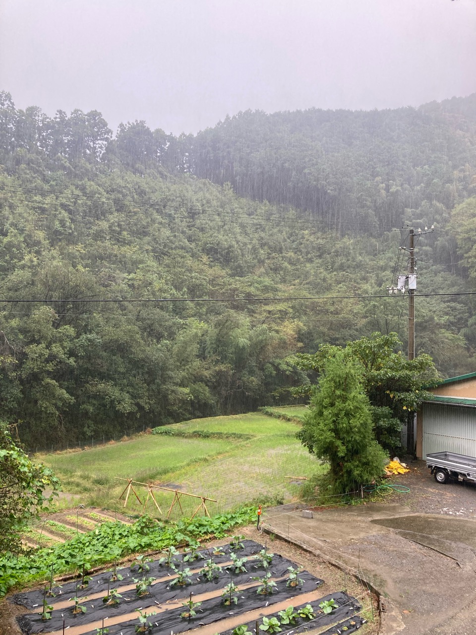 大雨すごかったー