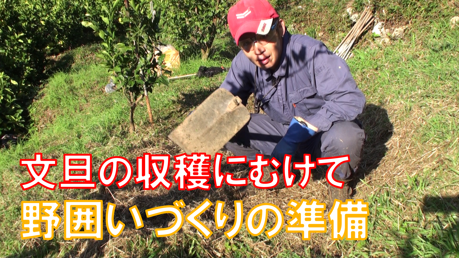 野囲いづくりはこんな感じ