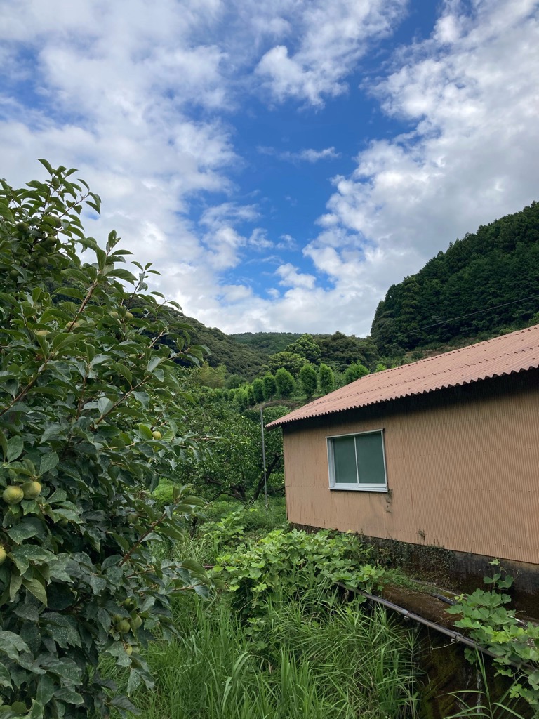 今のところ、いい天気〜