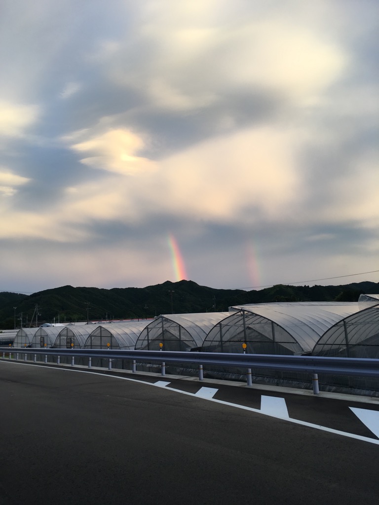 何かあるかな〜！？