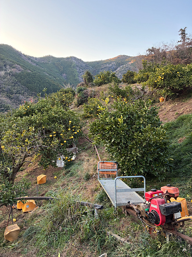 明日は仕事納め