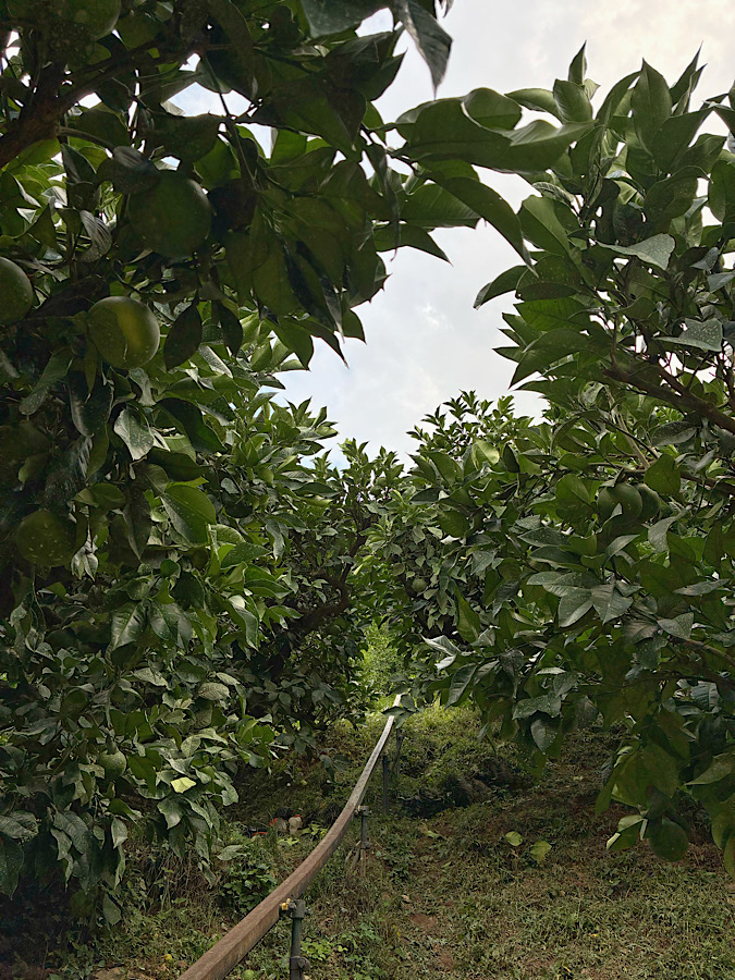 汗で目が開かない!?