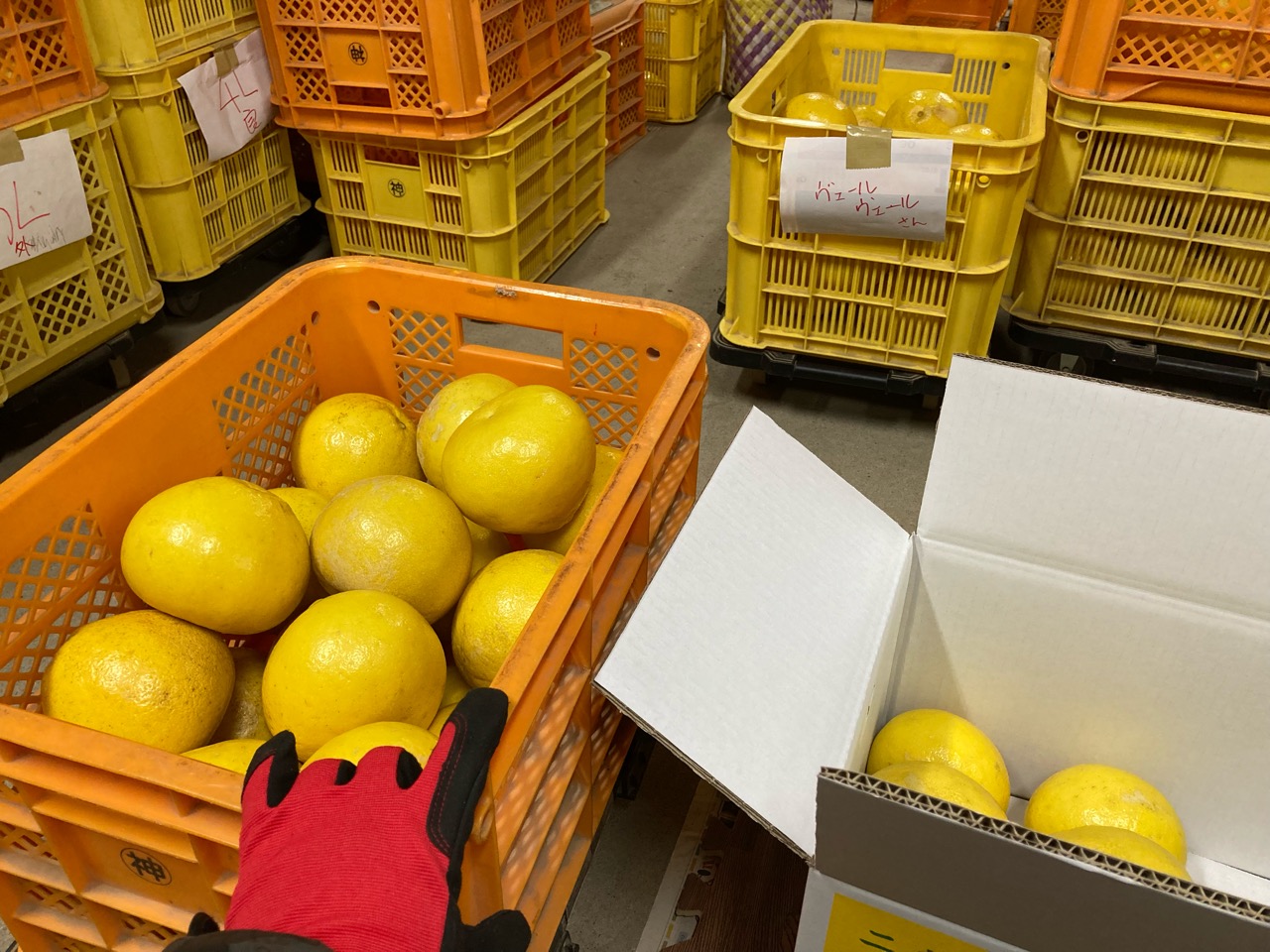 倉庫で荷造り