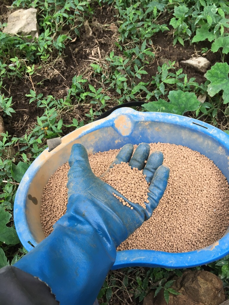 文旦の隠し味