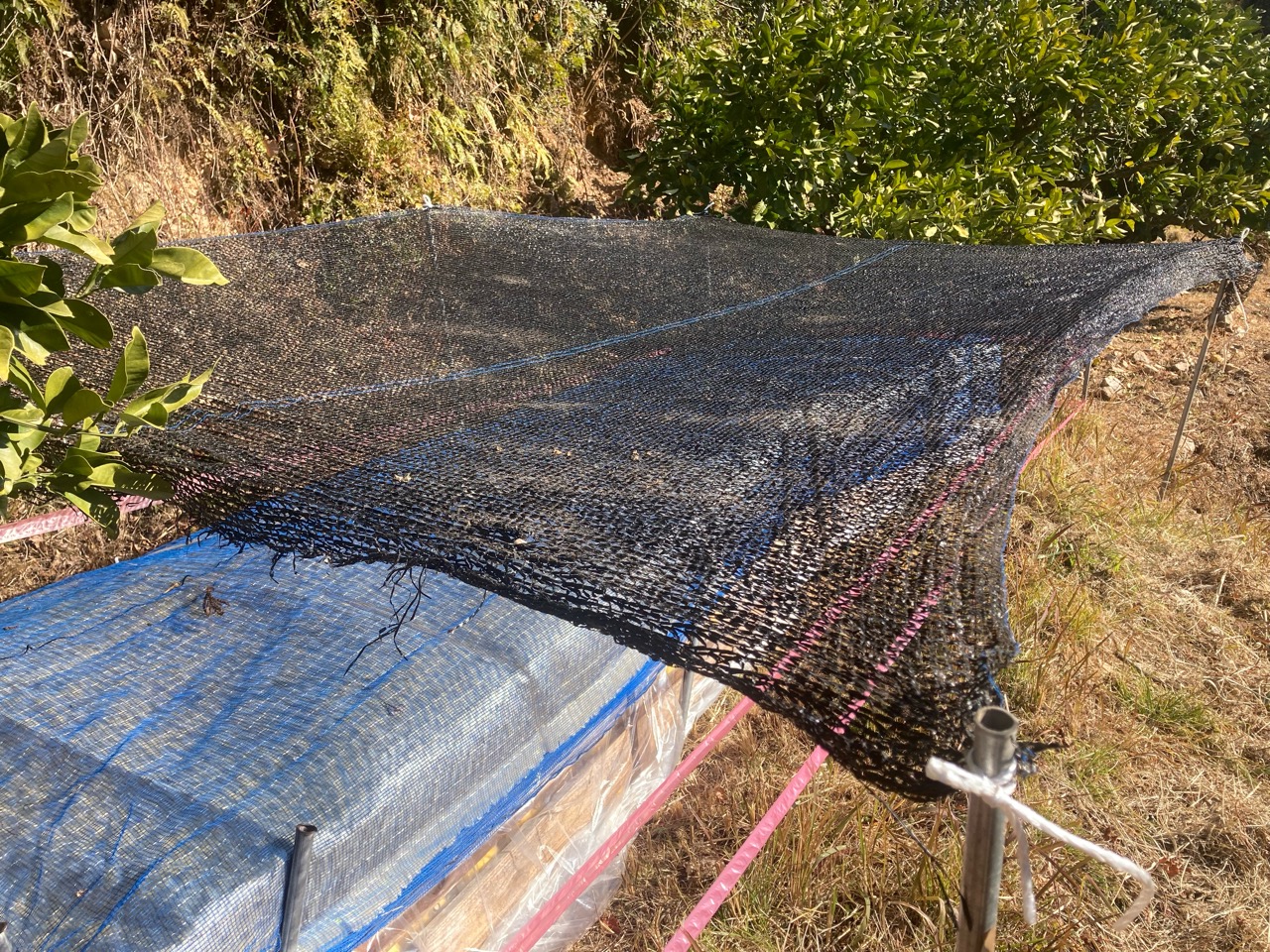 野囲いの遮光ネット