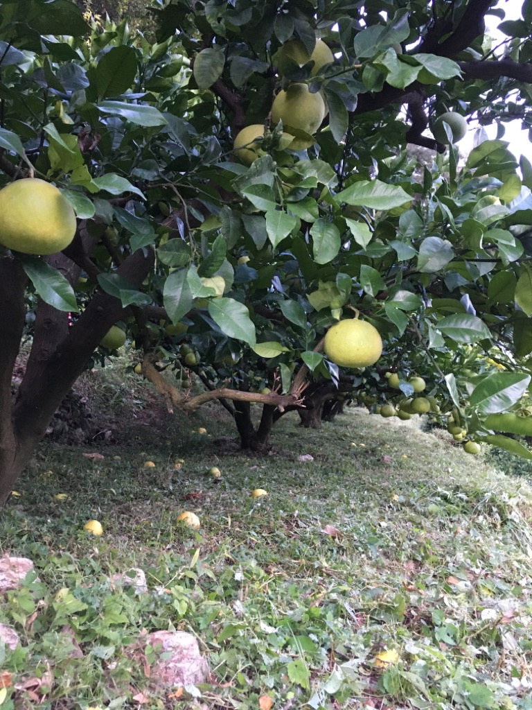 お休み気分〜